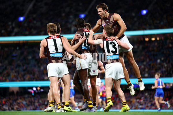 AFL 2025 Round 13 - Western Bulldogs v Hawthorn - A-59838704