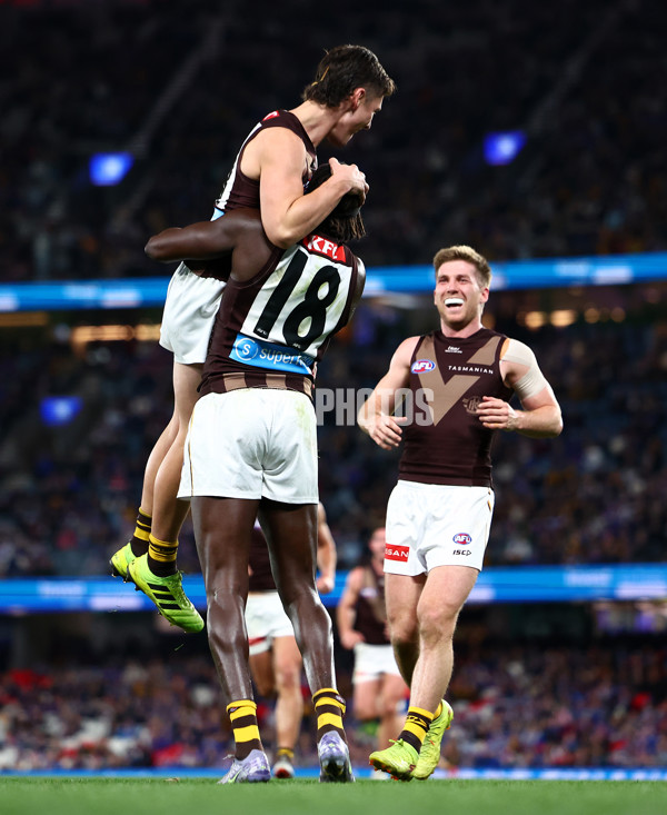 AFL 2025 Round 13 - Western Bulldogs v Hawthorn - A-59838705