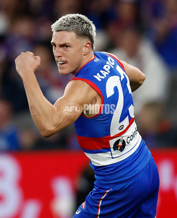AFL 2025 Round 13 - Western Bulldogs v Hawthorn - A-59838711