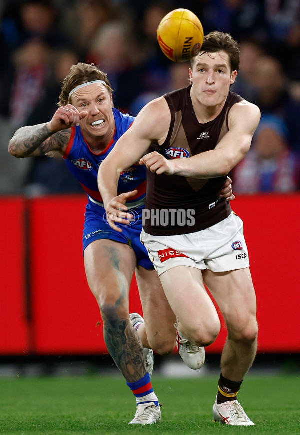 AFL 2025 Round 13 - Western Bulldogs v Hawthorn - A-59838712