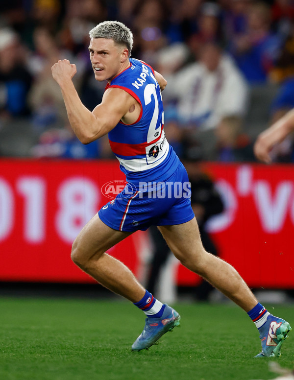 AFL 2025 Round 13 - Western Bulldogs v Hawthorn - A-59838714