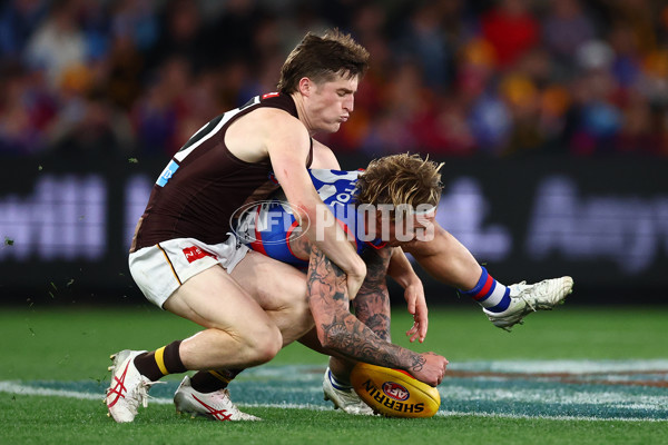 AFL 2025 Round 13 - Western Bulldogs v Hawthorn - A-59838727