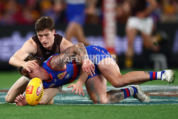 AFL 2025 Round 13 - Western Bulldogs v Hawthorn - A-59838728