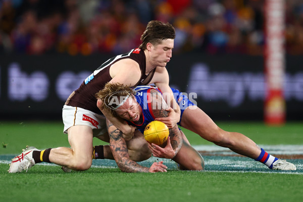 AFL 2025 Round 13 - Western Bulldogs v Hawthorn - A-59838729