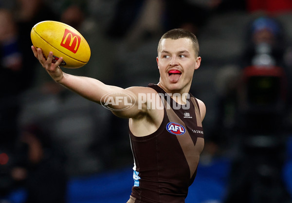 AFL 2025 Round 13 - Western Bulldogs v Hawthorn - A-59838744