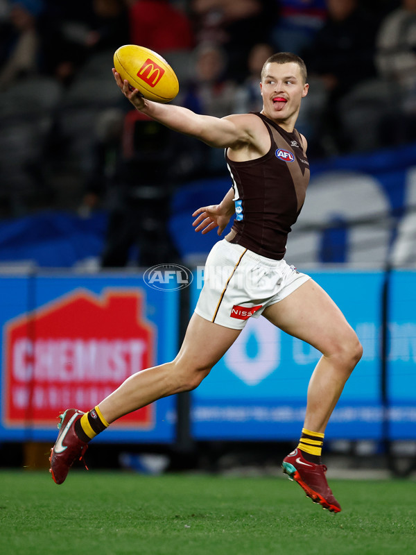 AFL 2025 Round 13 - Western Bulldogs v Hawthorn - A-59838746