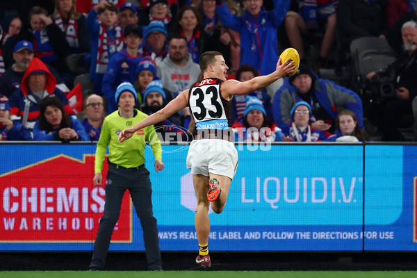 AFL 2025 Round 13 - Western Bulldogs v Hawthorn - A-59838752