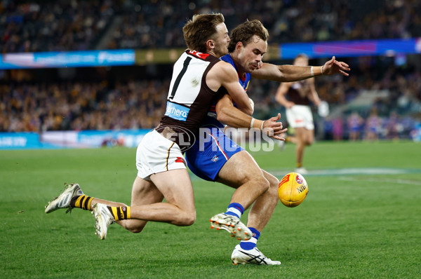 AFL 2025 Round 13 - Western Bulldogs v Hawthorn - A-59839383