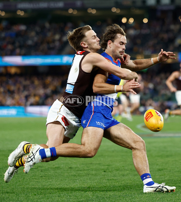 AFL 2025 Round 13 - Western Bulldogs v Hawthorn - A-59839384