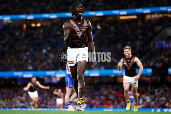 AFL 2025 Round 13 - Western Bulldogs v Hawthorn - A-59839390