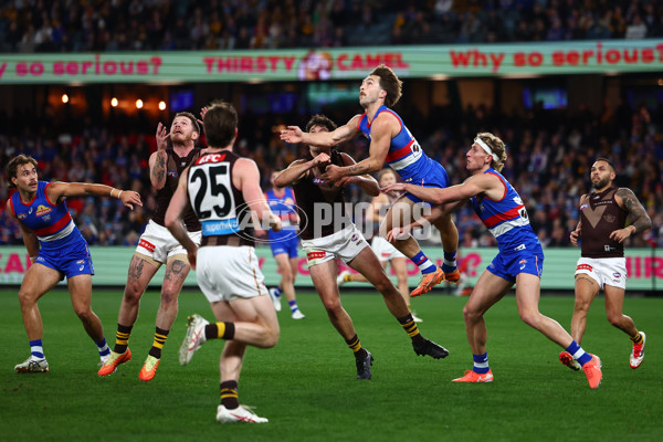 AFL 2025 Round 13 - Western Bulldogs v Hawthorn - A-59839397