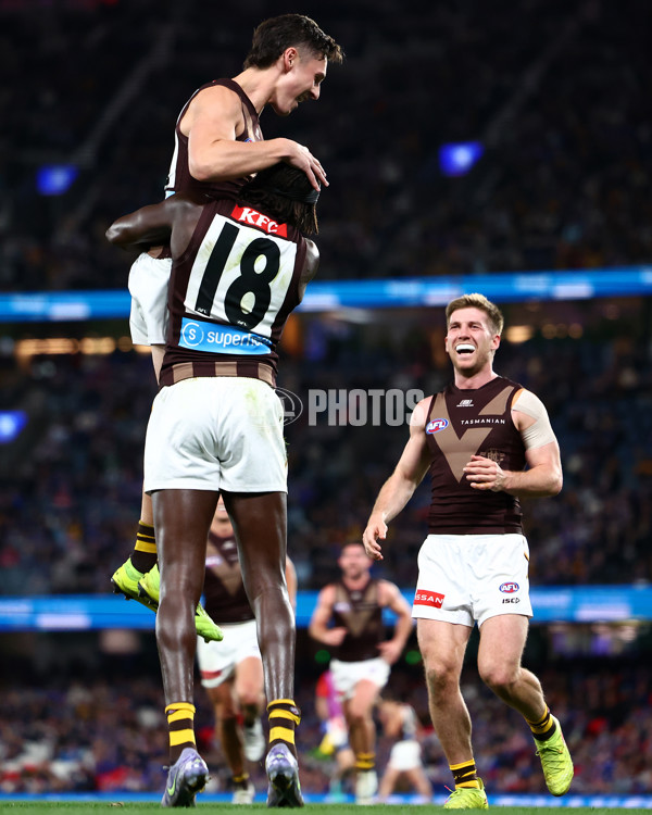 AFL 2025 Round 13 - Western Bulldogs v Hawthorn - A-59839398