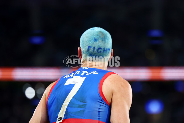 AFL 2025 Round 13 - Western Bulldogs v Hawthorn - A-59839399