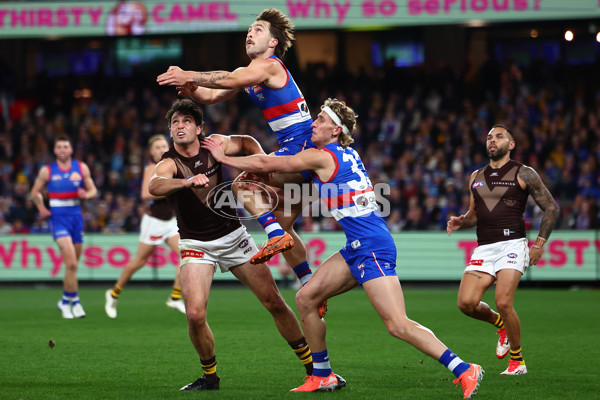 AFL 2025 Round 13 - Western Bulldogs v Hawthorn - A-59839400