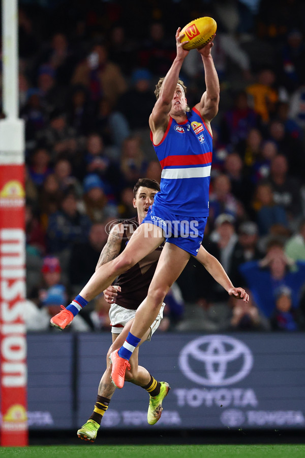 AFL 2025 Round 13 - Western Bulldogs v Hawthorn - A-59839407