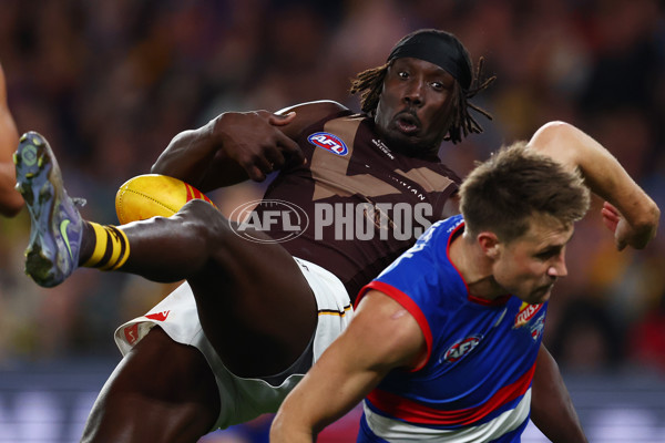 AFL 2025 Round 13 - Western Bulldogs v Hawthorn - A-59839409