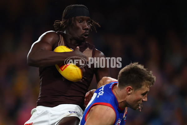 AFL 2025 Round 13 - Western Bulldogs v Hawthorn - A-59839410