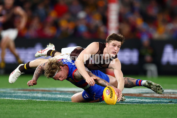 AFL 2025 Round 13 - Western Bulldogs v Hawthorn - A-59839415