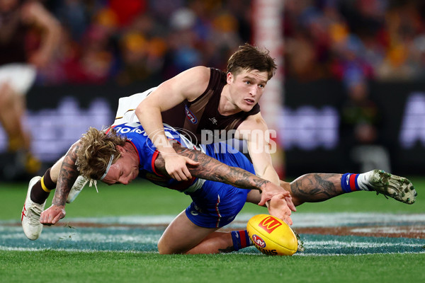 AFL 2025 Round 13 - Western Bulldogs v Hawthorn - A-59839416