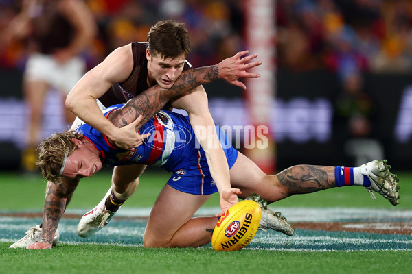 AFL 2025 Round 13 - Western Bulldogs v Hawthorn - A-59839417