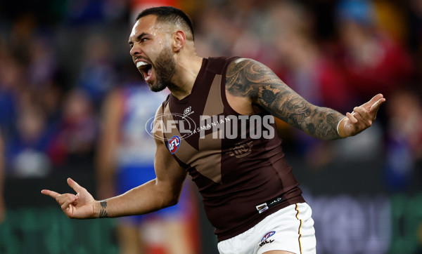 AFL 2025 Round 13 - Western Bulldogs v Hawthorn - A-59839426