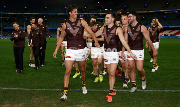 AFL 2025 Round 13 - Western Bulldogs v Hawthorn - A-59841839
