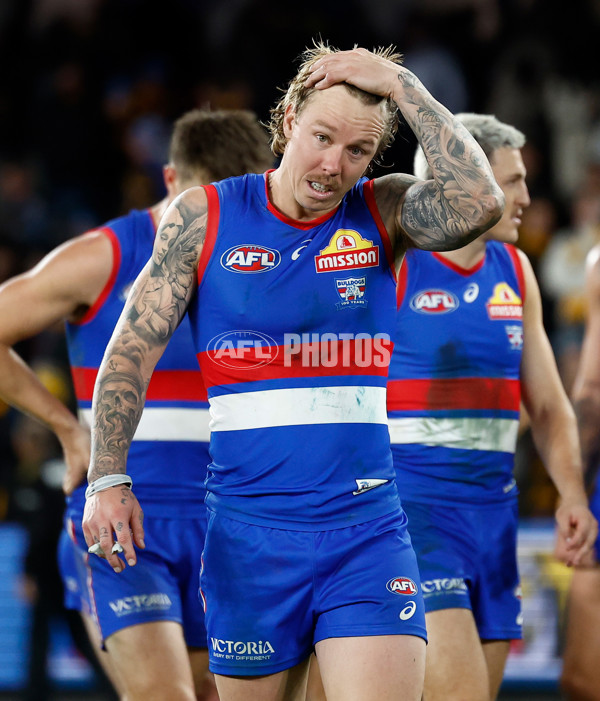 AFL 2025 Round 13 - Western Bulldogs v Hawthorn - A-59841841