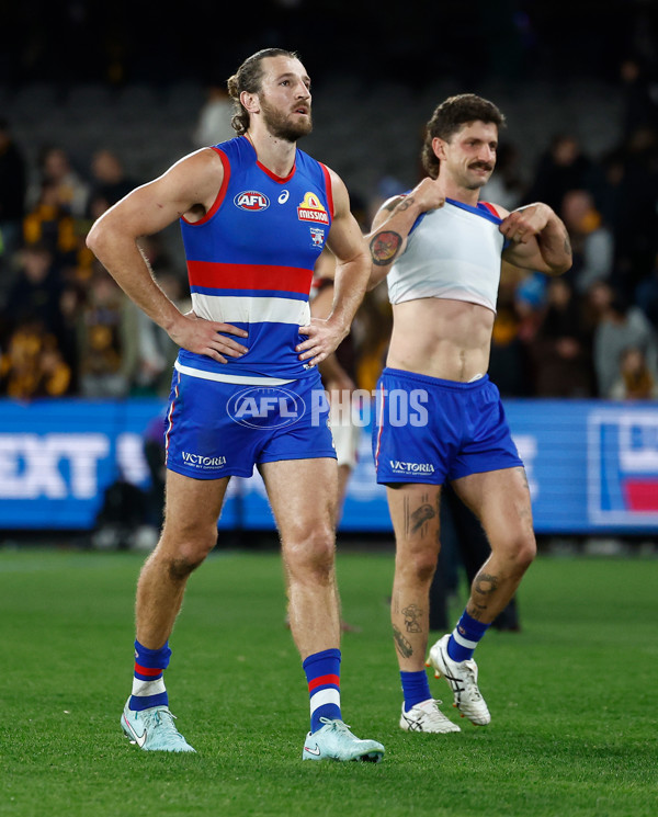 AFL 2025 Round 13 - Western Bulldogs v Hawthorn - A-59841842