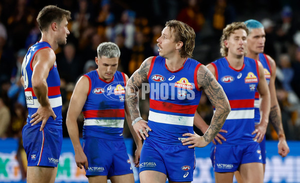 AFL 2025 Round 13 - Western Bulldogs v Hawthorn - A-59841843