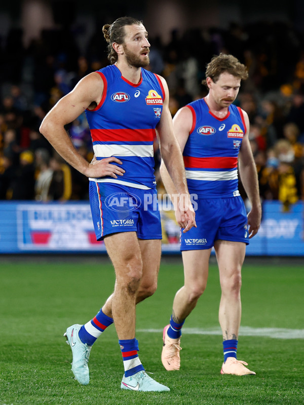 AFL 2025 Round 13 - Western Bulldogs v Hawthorn - A-59841846