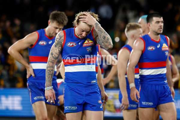 AFL 2025 Round 13 - Western Bulldogs v Hawthorn - A-59841847