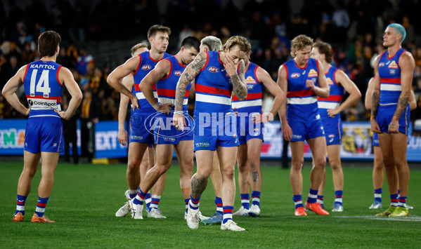 AFL 2025 Round 13 - Western Bulldogs v Hawthorn - A-59841848