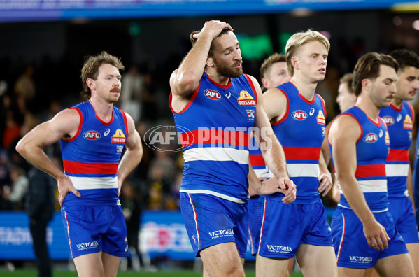 AFL 2025 Round 13 - Western Bulldogs v Hawthorn - A-59841849