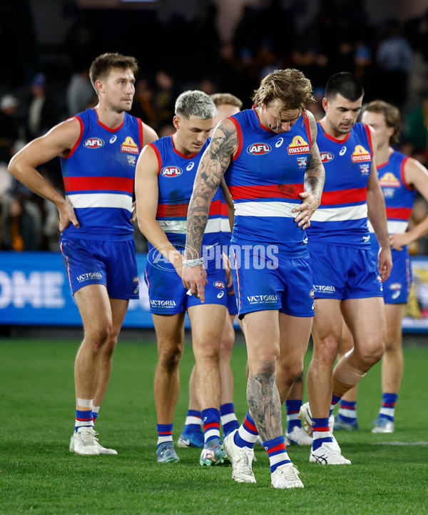AFL 2025 Round 13 - Western Bulldogs v Hawthorn - A-59841851