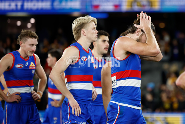 AFL 2025 Round 13 - Western Bulldogs v Hawthorn - A-59841853