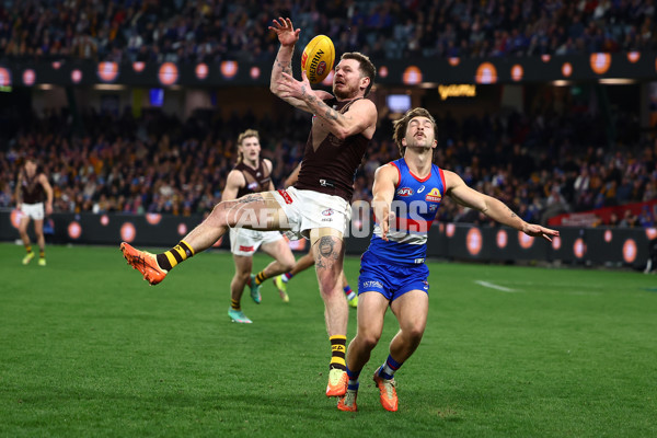 AFL 2025 Round 13 - Western Bulldogs v Hawthorn - A-59842017