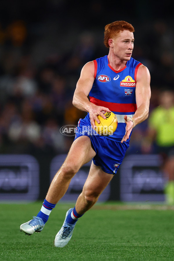 AFL 2025 Round 13 - Western Bulldogs v Hawthorn - A-59842019