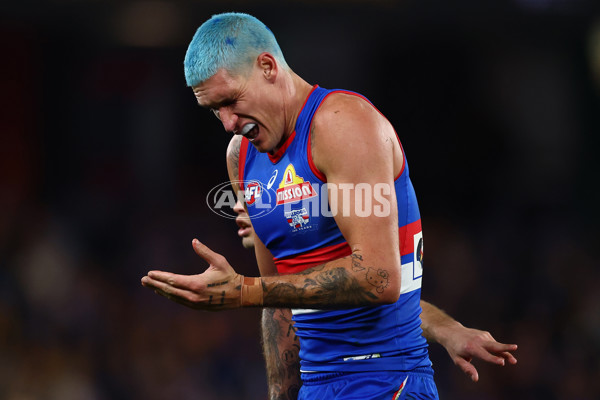 AFL 2025 Round 13 - Western Bulldogs v Hawthorn - A-59842020