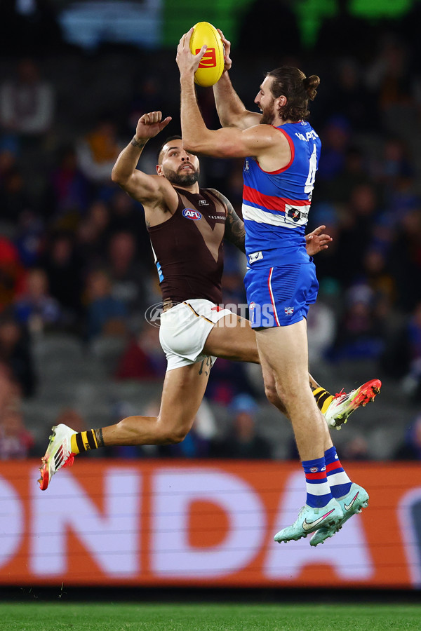 AFL 2025 Round 13 - Western Bulldogs v Hawthorn - A-59842024