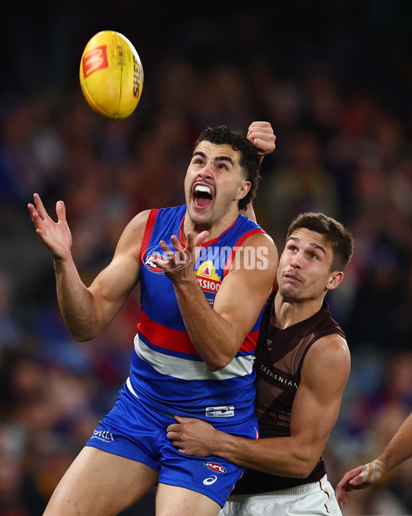 AFL 2025 Round 13 - Western Bulldogs v Hawthorn - A-59842025
