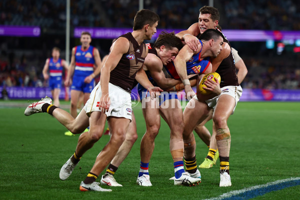 AFL 2025 Round 13 - Western Bulldogs v Hawthorn - A-59842026