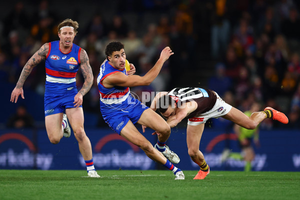 AFL 2025 Round 13 - Western Bulldogs v Hawthorn - A-59842027