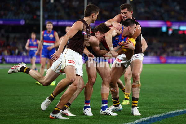 AFL 2025 Round 13 - Western Bulldogs v Hawthorn - A-59842028