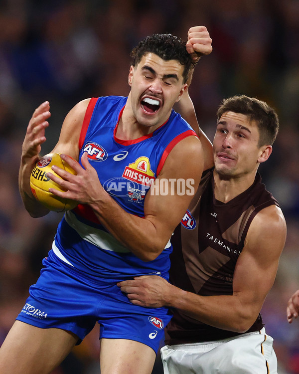 AFL 2025 Round 13 - Western Bulldogs v Hawthorn - A-59842029