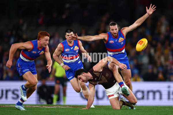 AFL 2025 Round 13 - Western Bulldogs v Hawthorn - A-59842032
