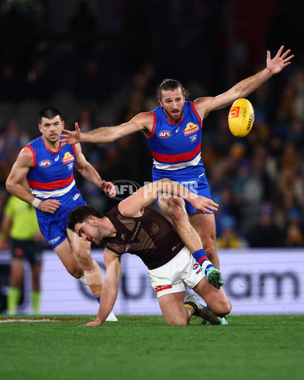 AFL 2025 Round 13 - Western Bulldogs v Hawthorn - A-59842033
