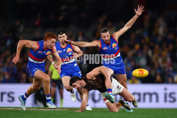 AFL 2025 Round 13 - Western Bulldogs v Hawthorn - A-59842037