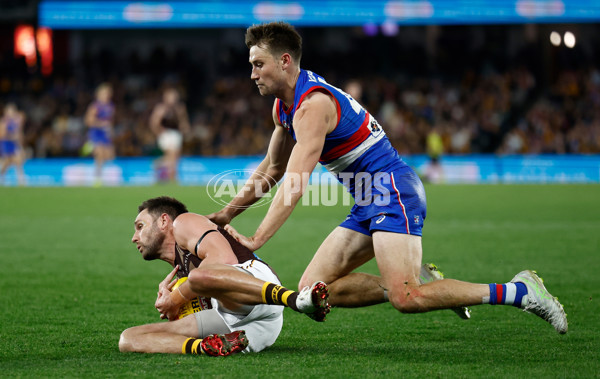 AFL 2025 Round 13 - Western Bulldogs v Hawthorn - A-59842058