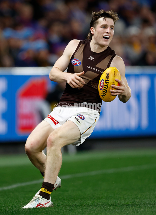 AFL 2025 Round 13 - Western Bulldogs v Hawthorn - A-59842059