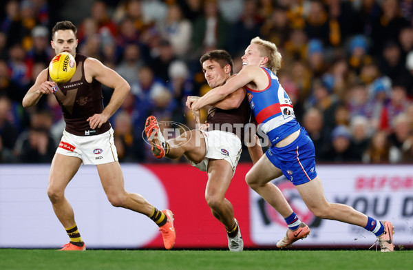 AFL 2025 Round 13 - Western Bulldogs v Hawthorn - A-59842061